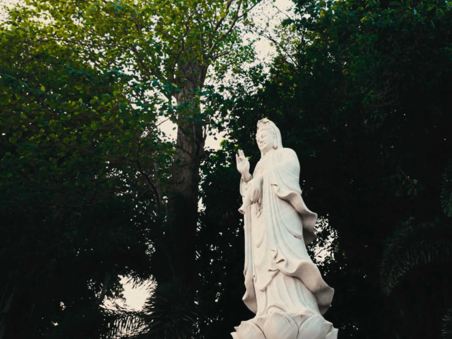 Pakse Chinese temple — cinematic still 4
