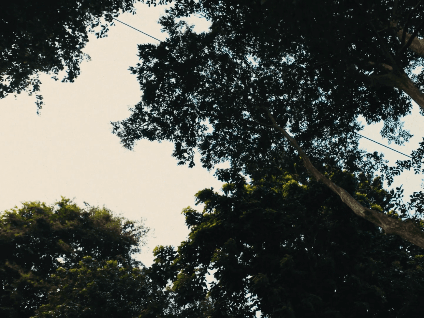 Pakse Chinese temple — cinematic still 3